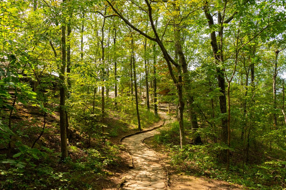 Hiking trail surrounded with trees leading to Garden of the Gods