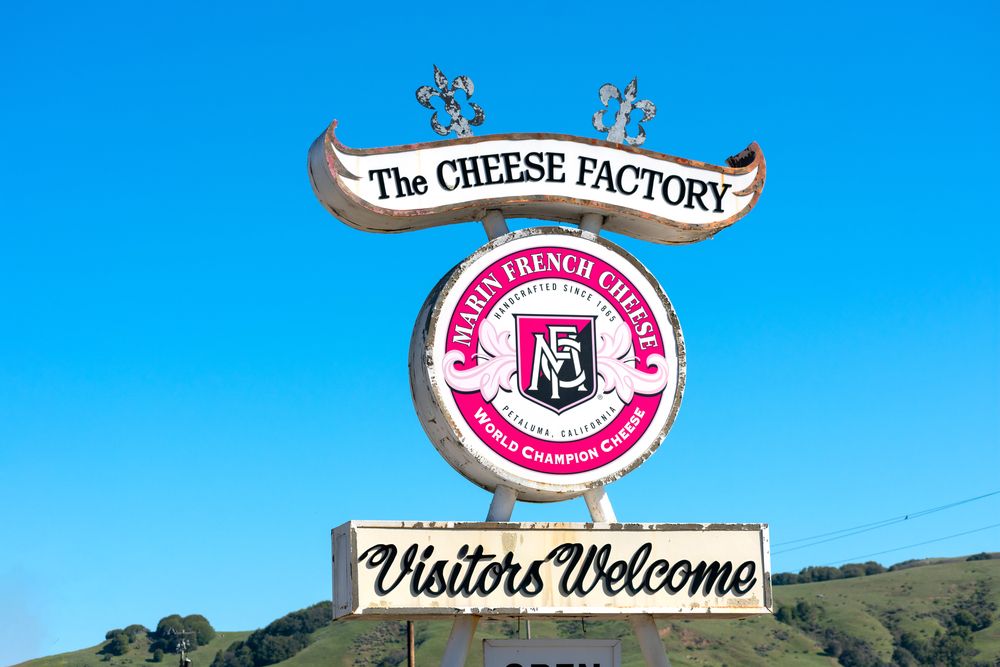 View of Marin French Cheese Company