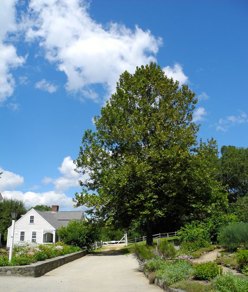 View of Old Sturbridge Village