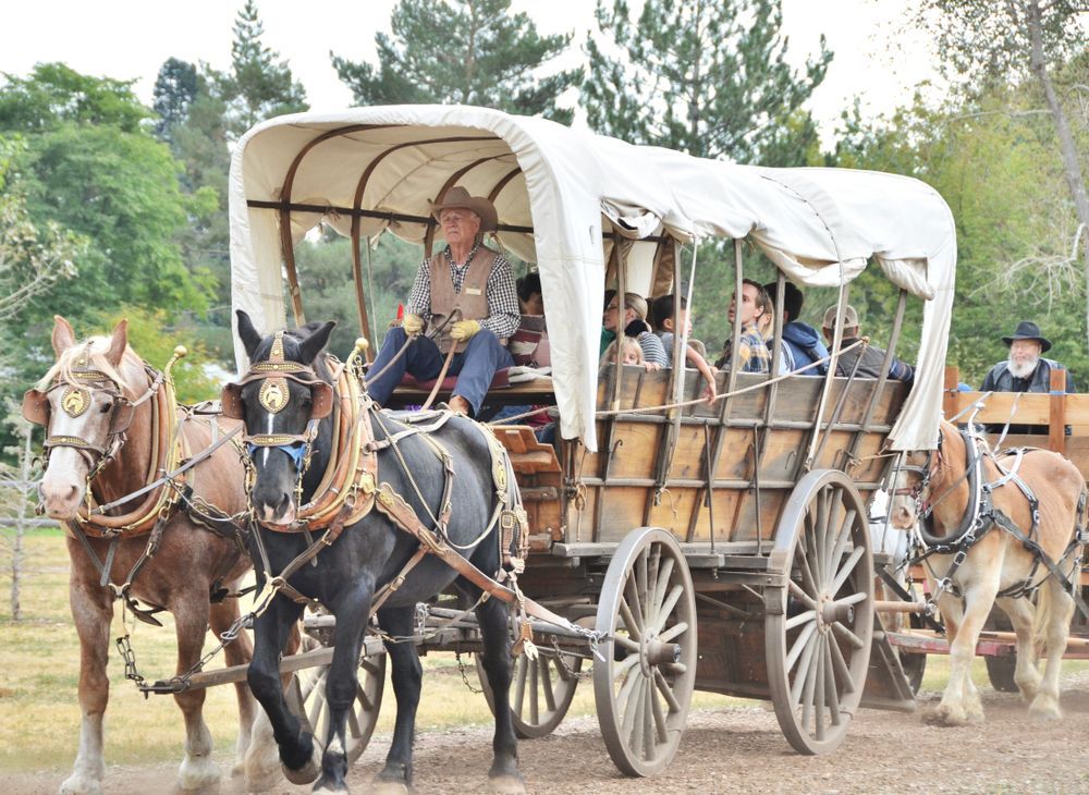 Carriage ride at History Colorado Center