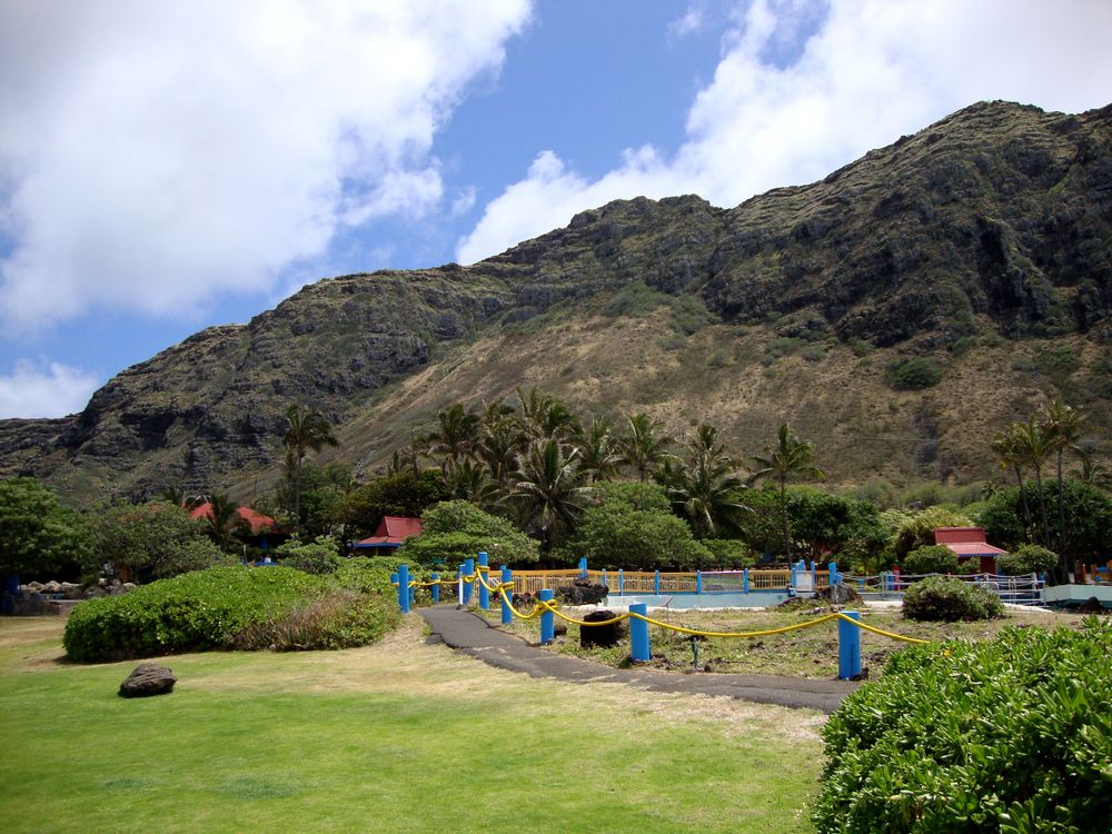 Trail at Sea Life Park