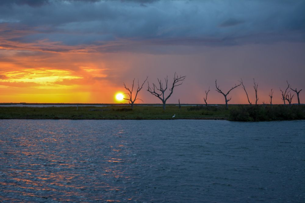 The waters of Pointe-Aux-Chenes