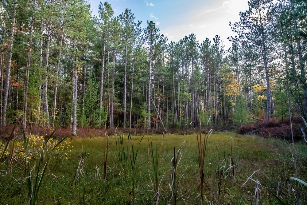 Big spring falls trail at Banning State Park