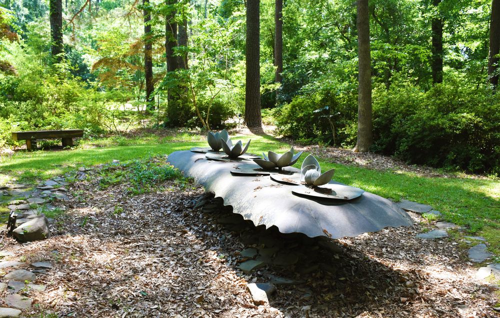 A beautiful display at Cape Fear Botanical Garden