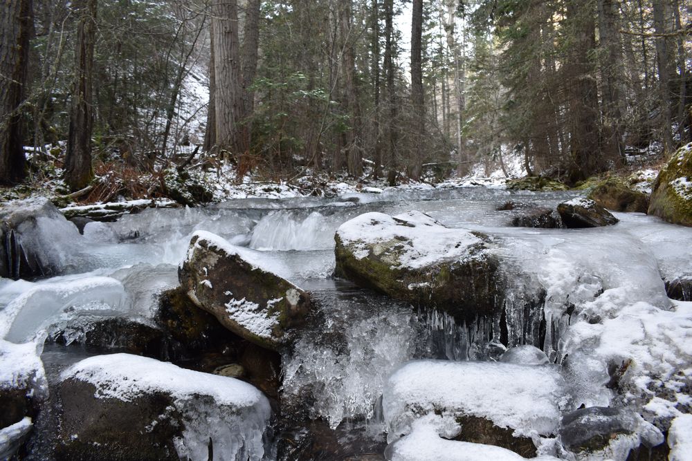 Frozen creek at Bitterroot National Forest
