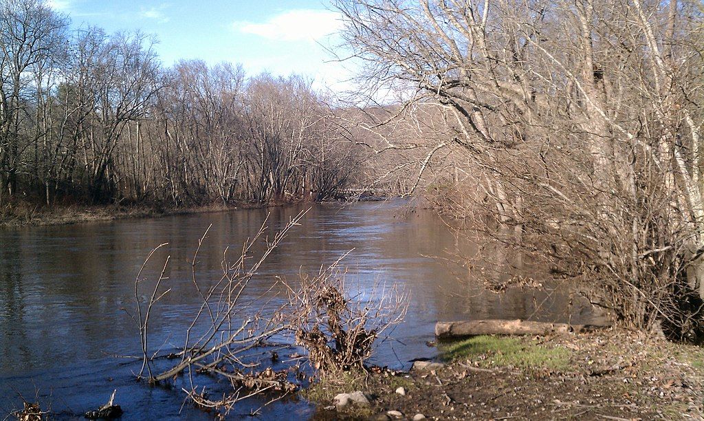 A river at Stephens State Park