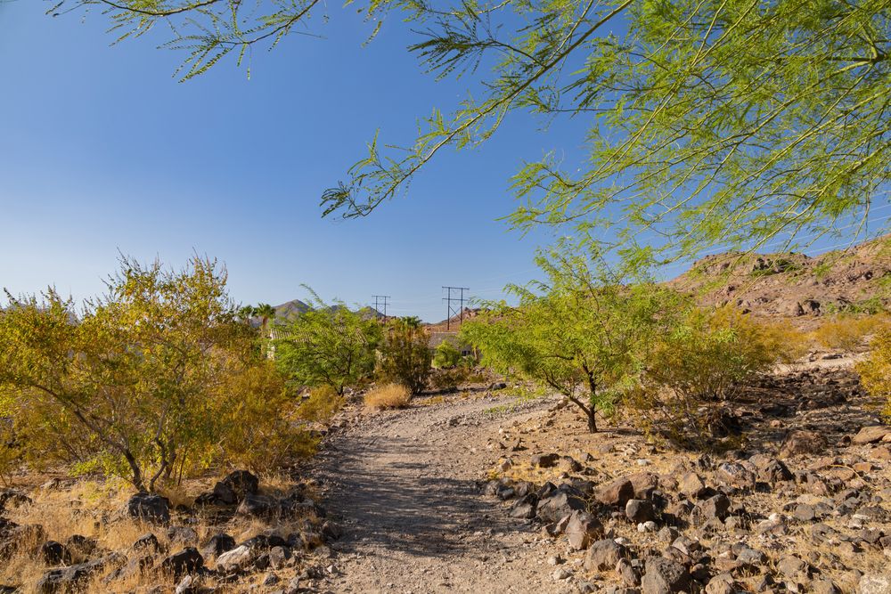 Dirt trail of Amargosa Trail