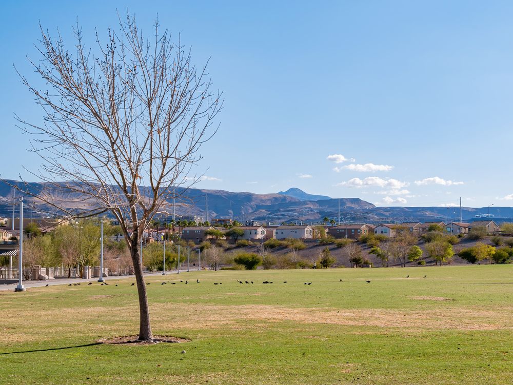 The grounds of Cornerstone Park