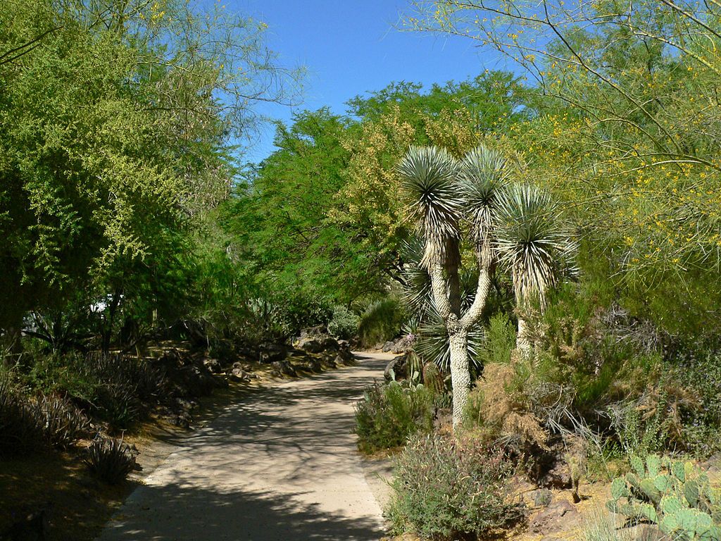 A trail at Ethel M Botanical Cactus Garden