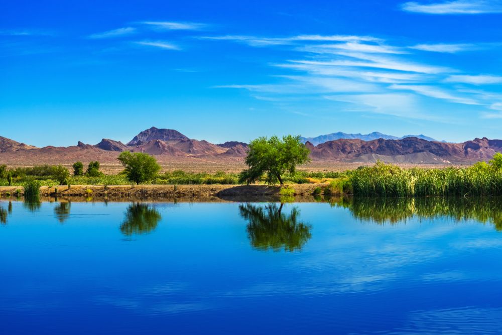 Scenic view of Henderson Bird Viewing Preserve