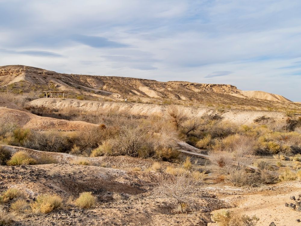 Desert landscape of Whitney Mesa Nature Preserve