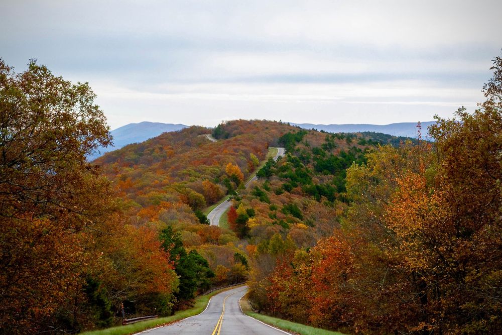 Scenic view of Talimena National Scenic Byway
