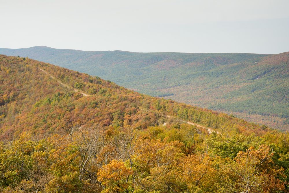 Mountain views at Talimena National Scenic Byway