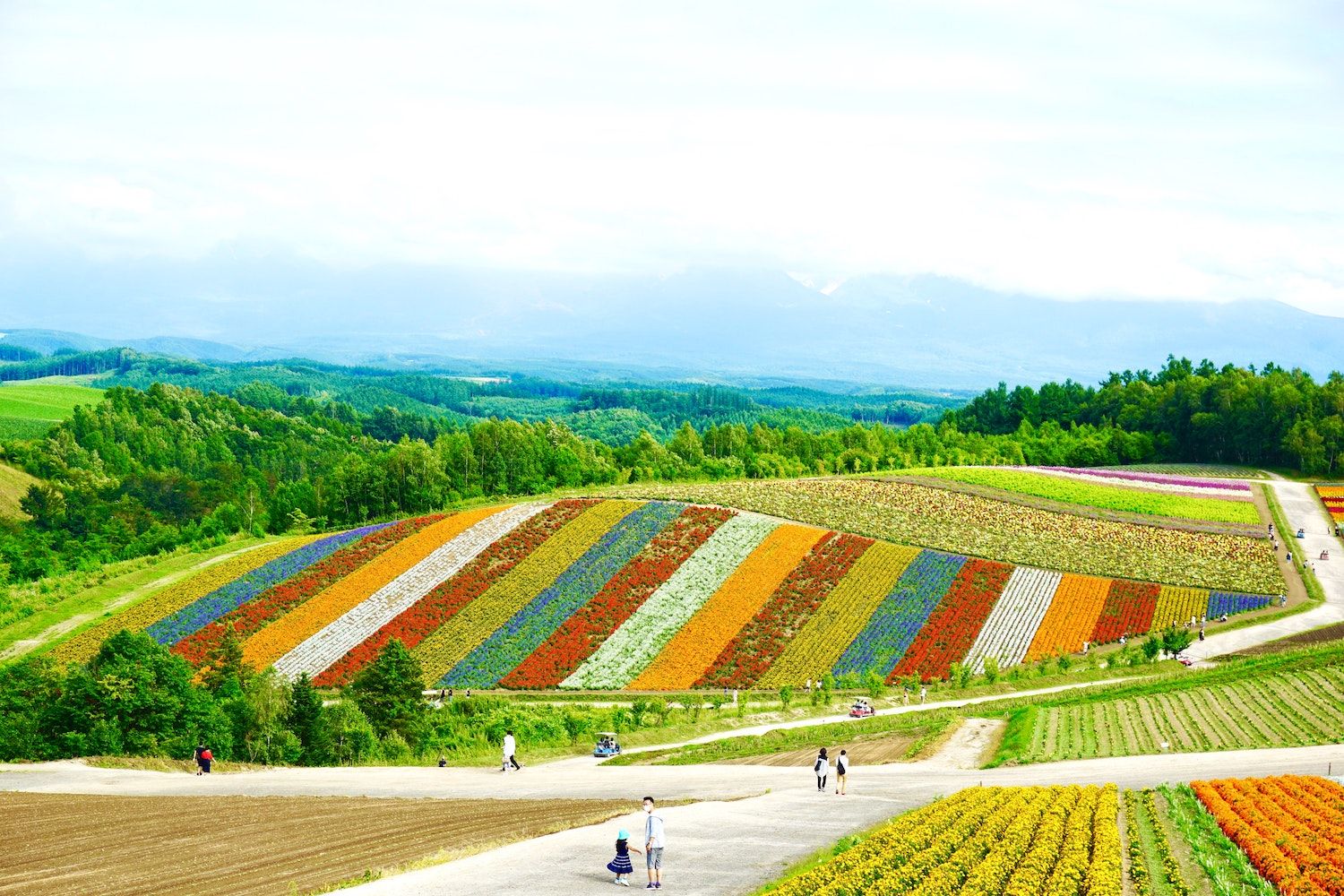 25 Best Things to Do in Hokkaido