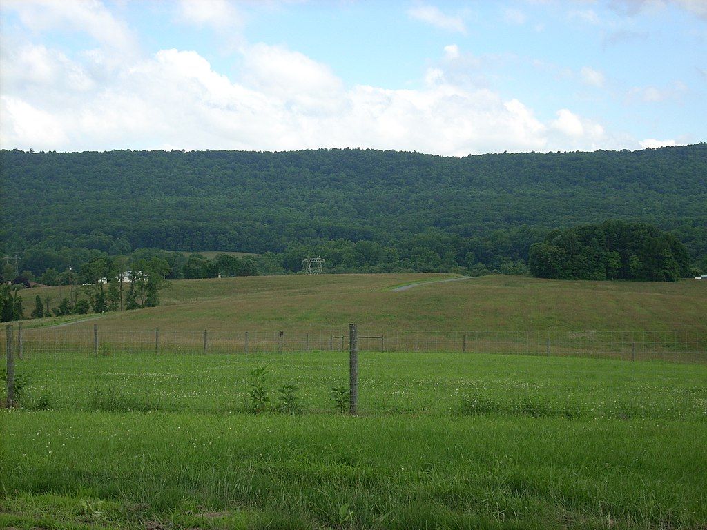 Landscape of Boyd Big Tree Preserve Conservation Area