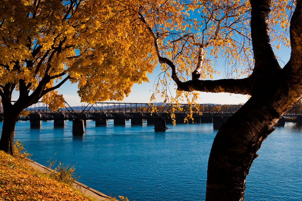 Autumn trees at Riverfront Park