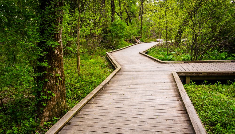 Boardwalk trail at Wildwood Park