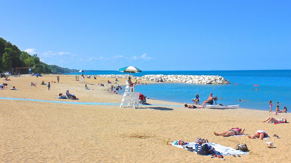 People enjoying the sun at Rosewood Beach