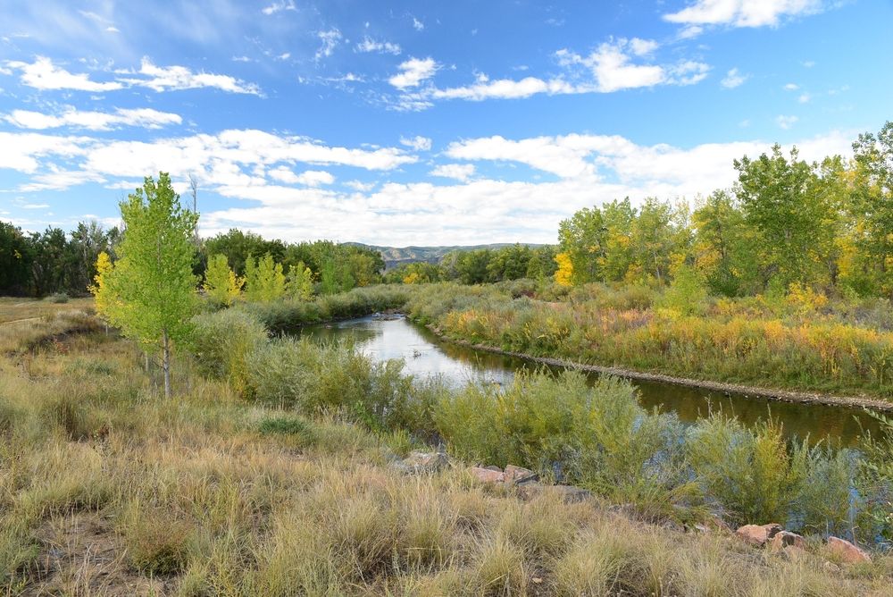 Waters of South Platte Park & the Carson Nature Center