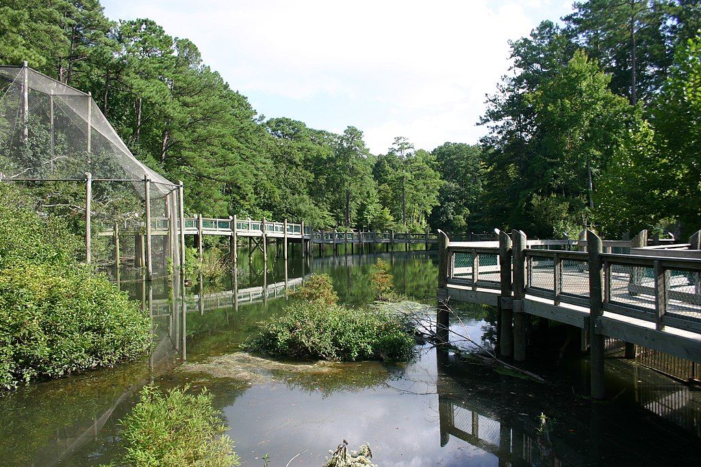 A boardwalk at Virginia Living Museum