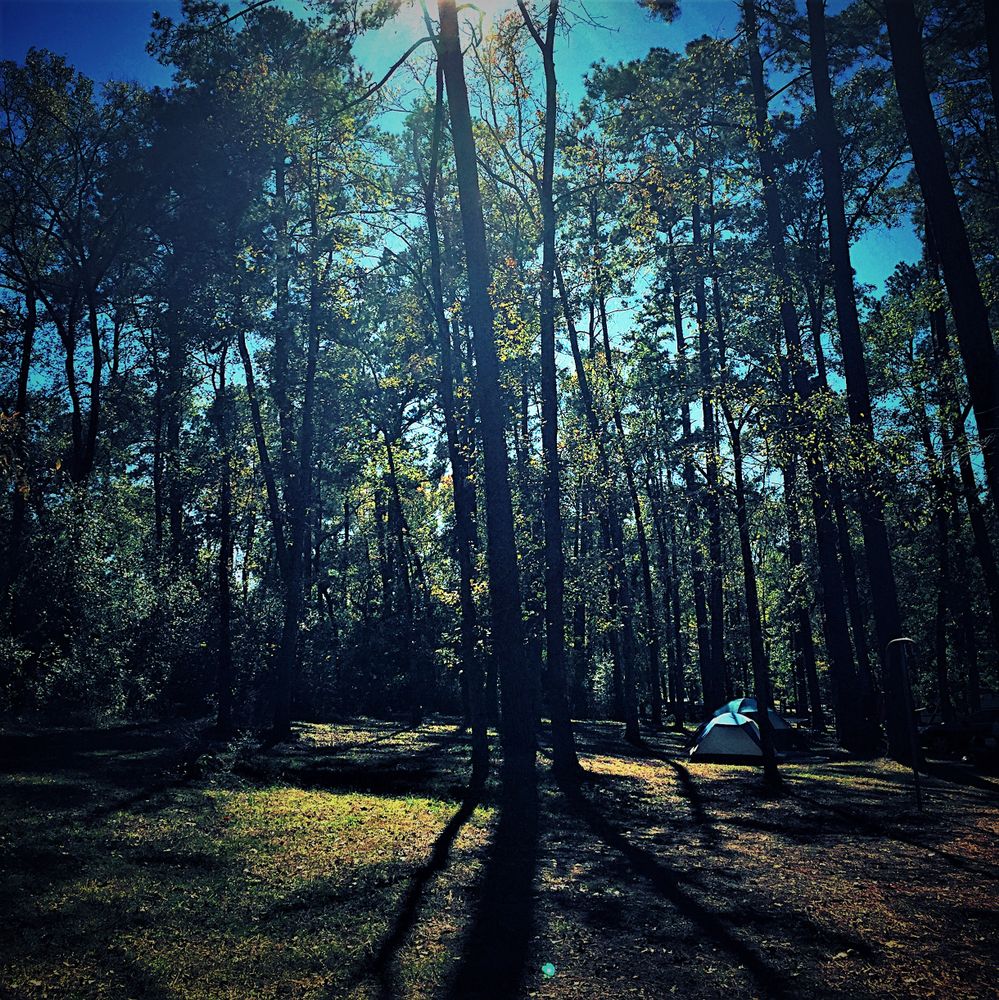 Nature trail at Huntsville State Park