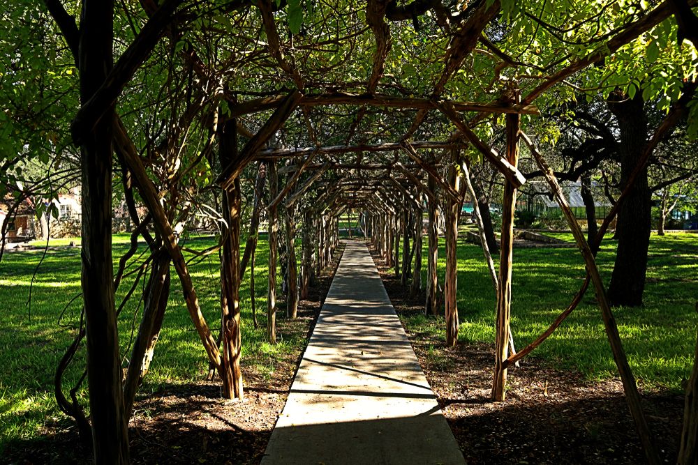 A beautiful trail at Mo-Ranch