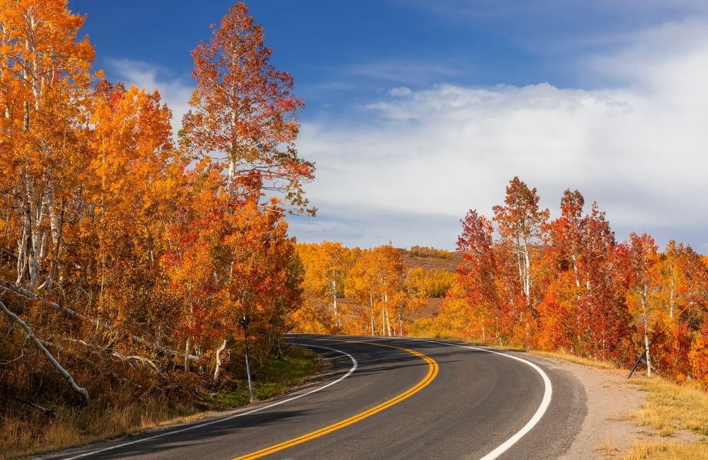 Autumn scene at Ogden Canyon Road