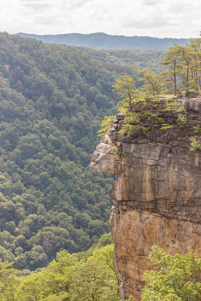 A cliff at Endless Wall Trail