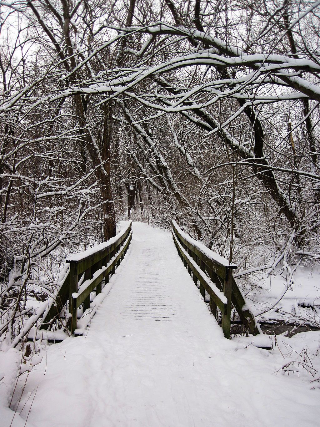Snow-covered bridge of Hickory Hill Park