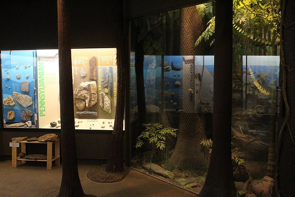 Pennsylvanian Diorama in University of Iowa Museum of Natural History