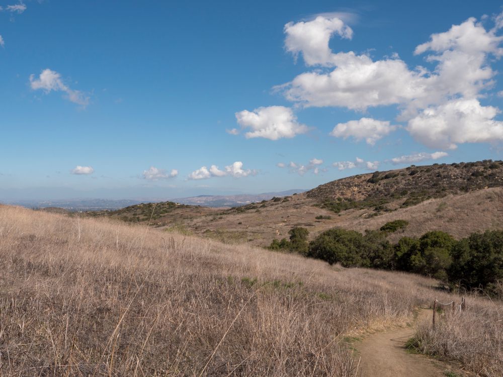 Trail at Bommer Canyon