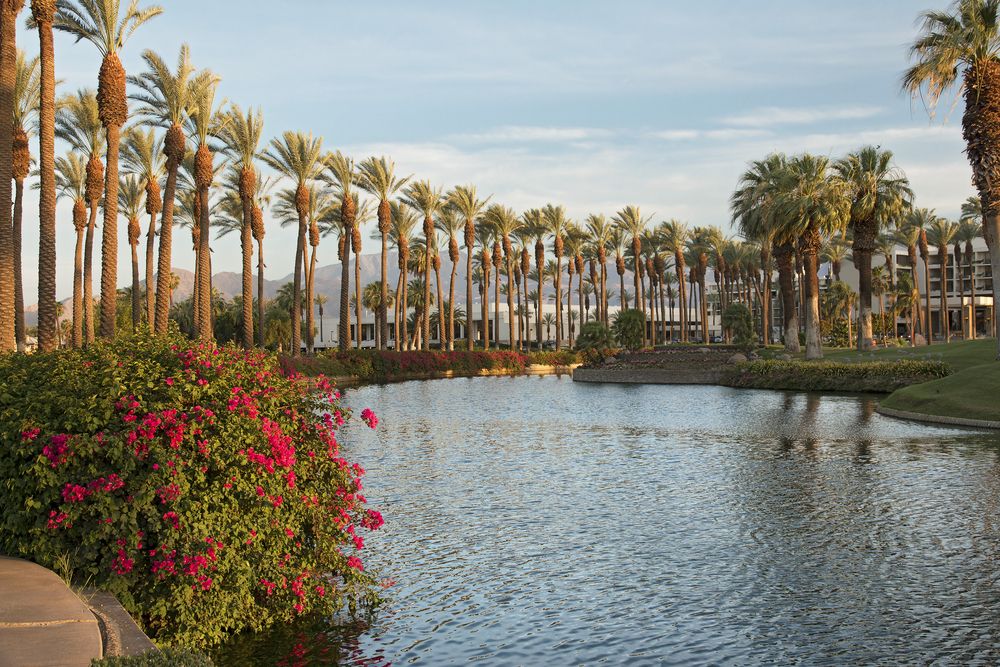 Flora at Palm Springs