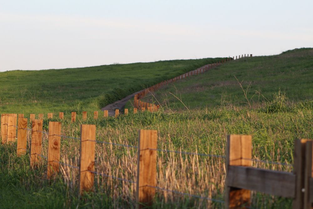 Green fields at Quail Hill Loop Trail