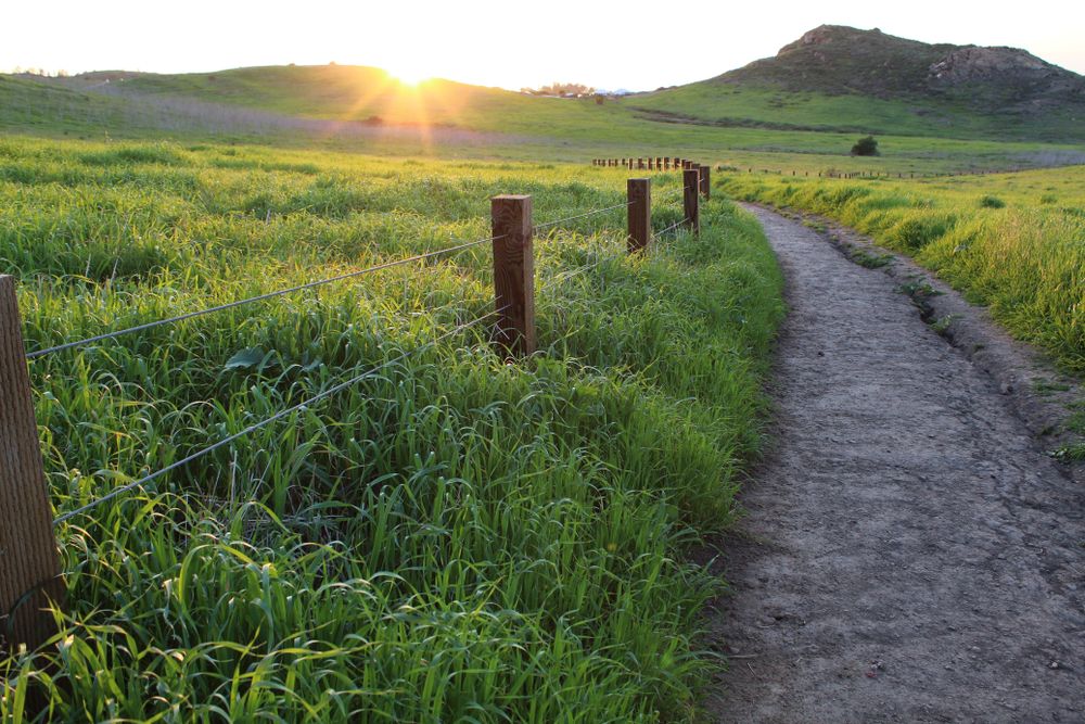 View of the sunset from Quail Hill Loop Trail