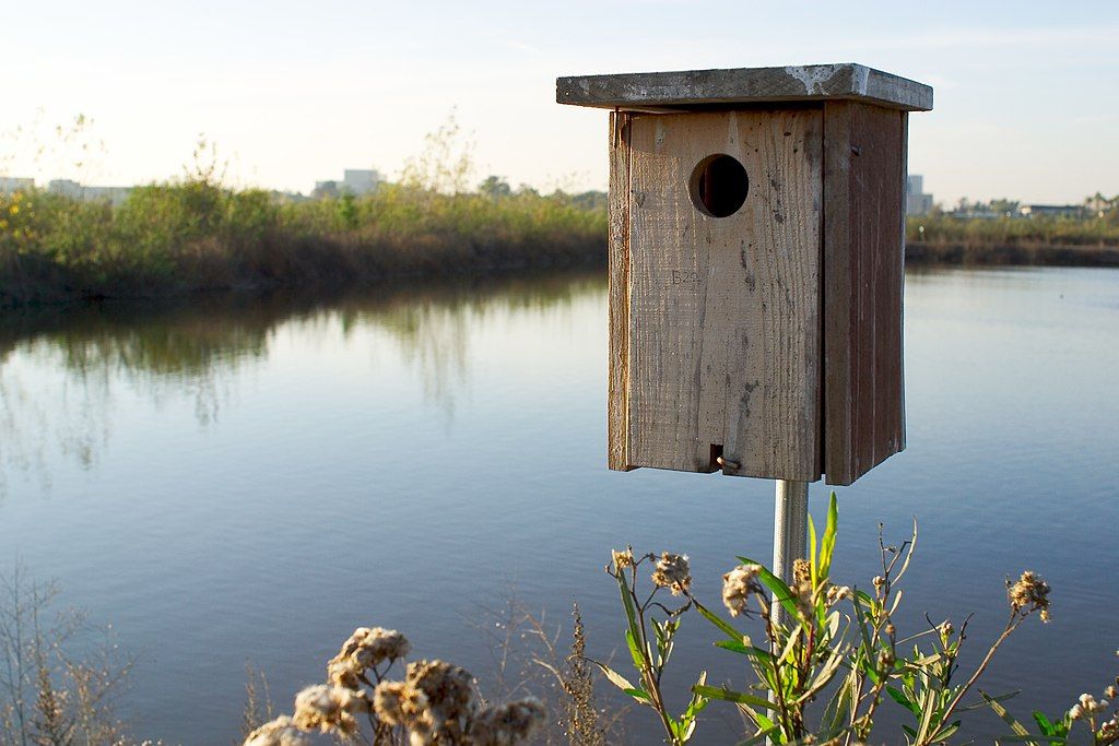 Birdhouse at San Joaquin Marsh and Wetlands Sanctuary