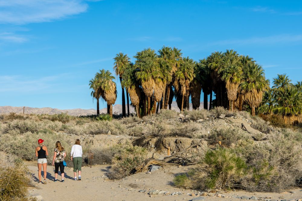 Hikers at Thousand Palms Oasis Preserve