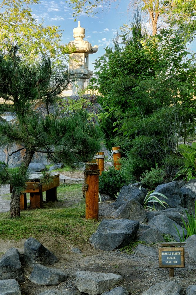 View of Japanese Friendship Garden