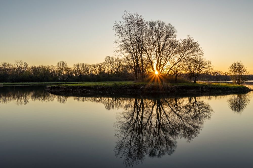 Scenic sunrise at Busse Woods
