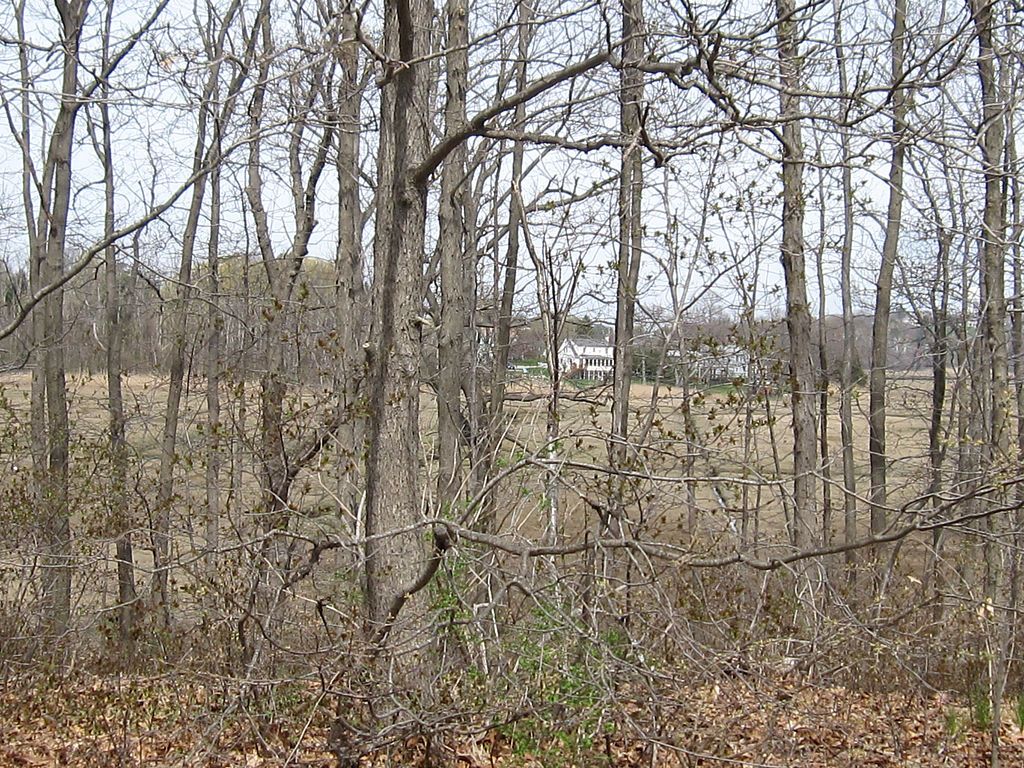 Trees at Greenwood Farm