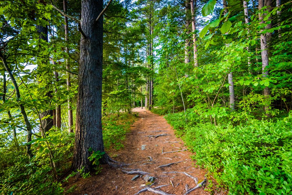 Trail at Ahern State Park