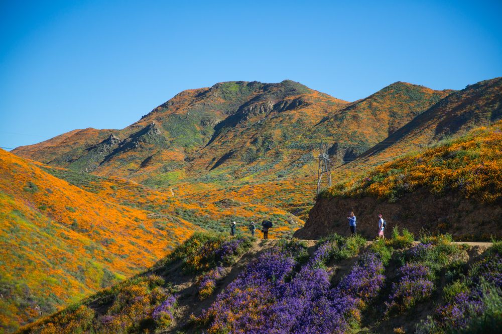 Stunning View of Walker Canyon Trail