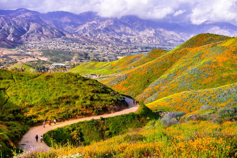 Stunning View of Walker Canyon Trail