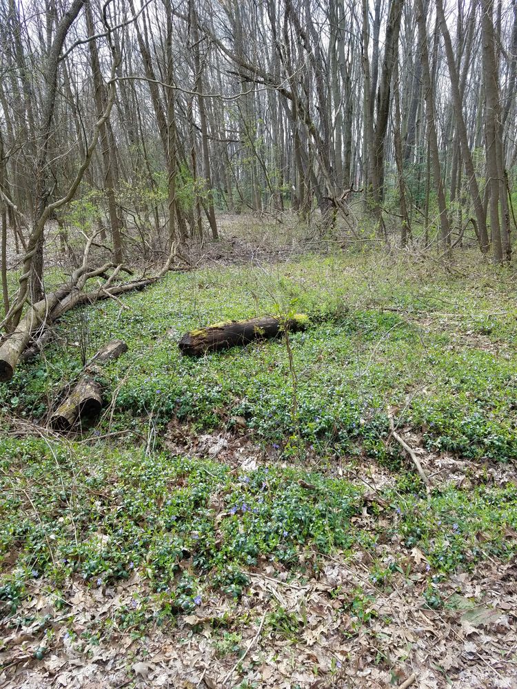 Landscape of Cascade Valley Metro Park