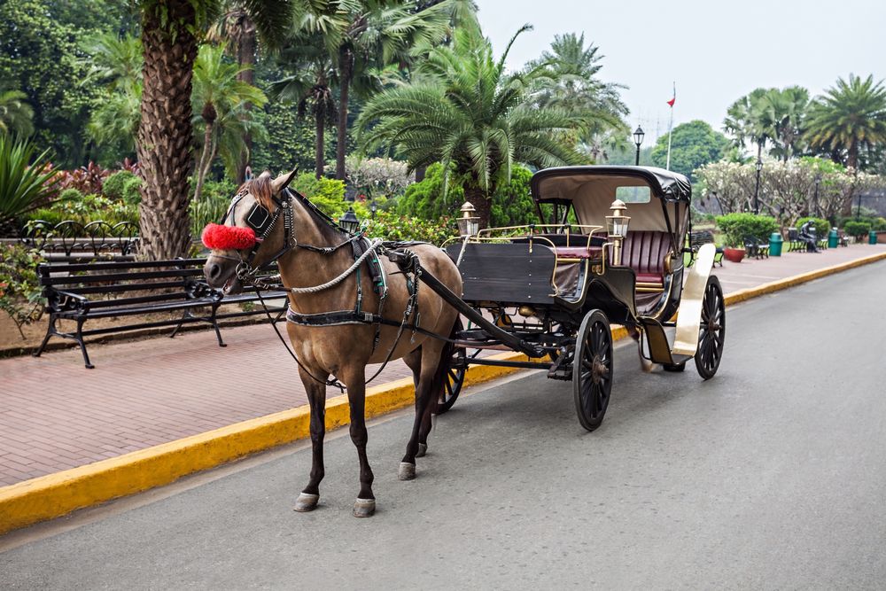 Horse with carriage in Intramuros