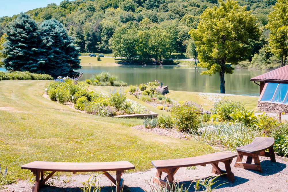 Daytime view of Blue Spruce Park