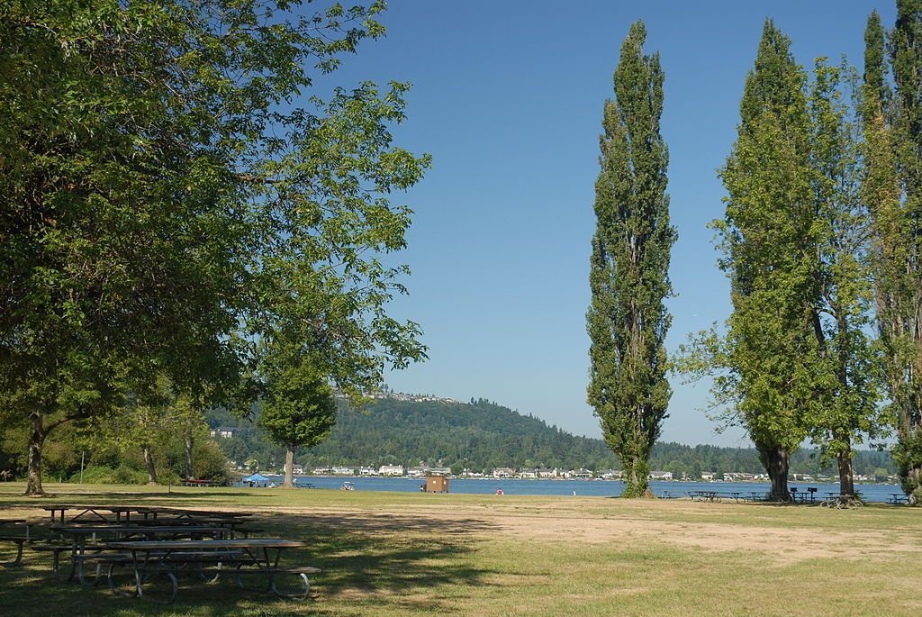 Landscape at Lake Sammamish State Park.