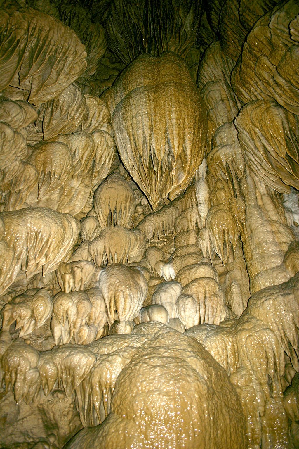 Interior of a cave at Oregon Caves National Monument and Preserve