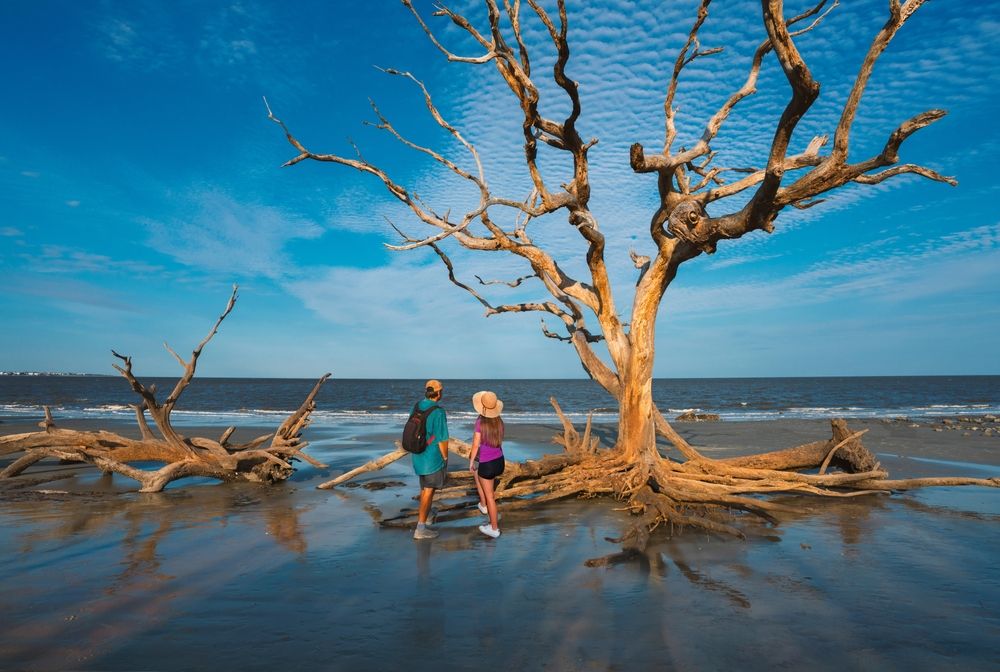 People at Driftwood Beach