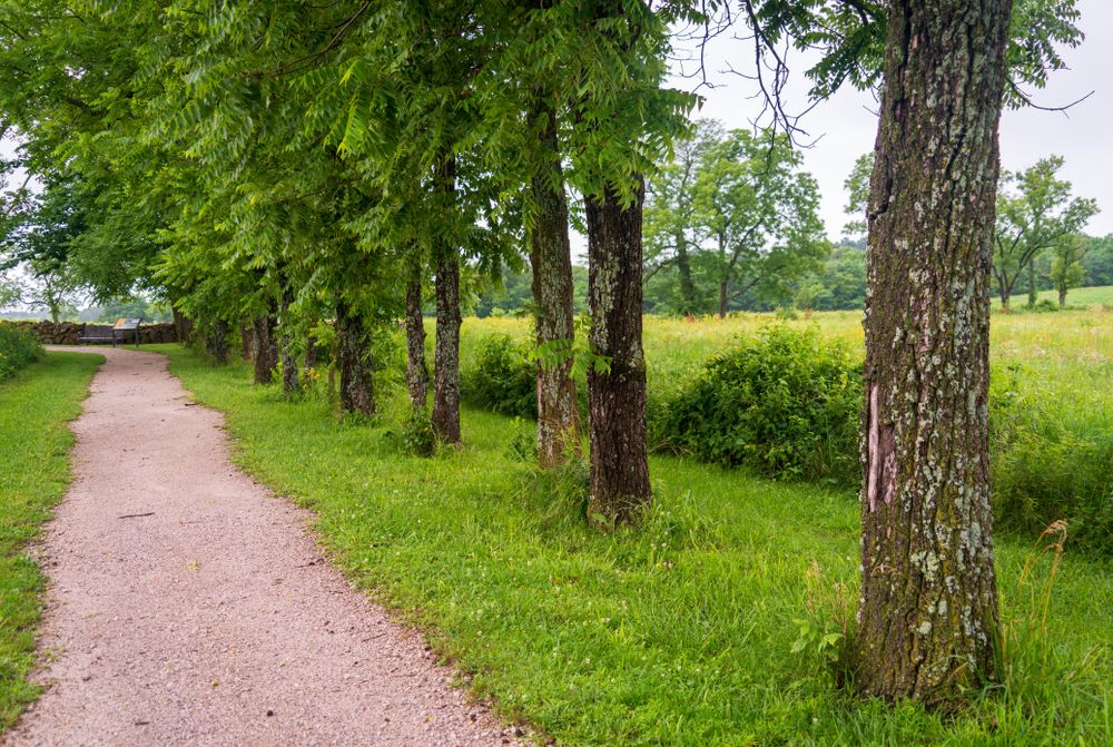 Trail at George Washington Carver National Monument