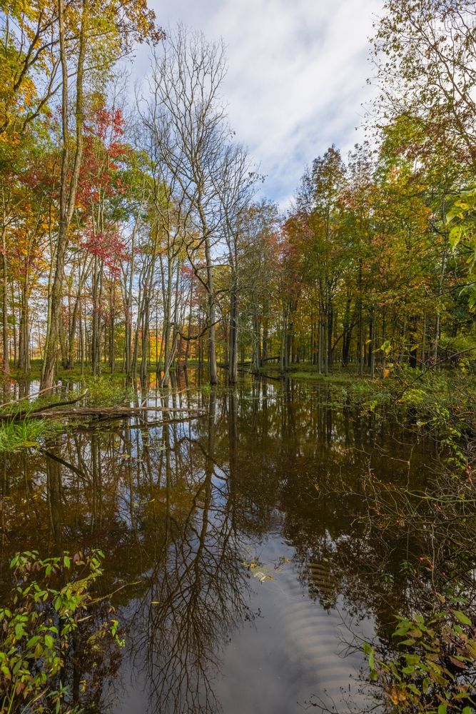 The waters of Audubon Community Nature Center